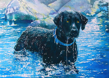BLACK LAB IN WATER